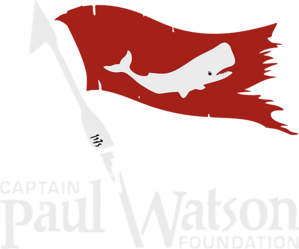 Captain Watson Shop