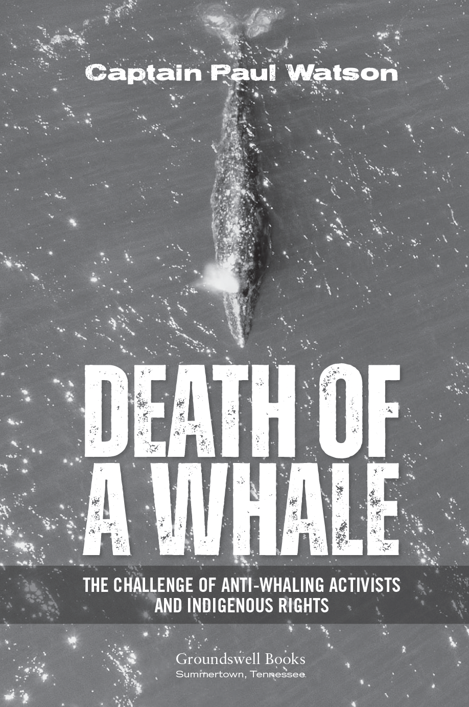 Death of a Whale: The Challenge of Anti-Whaling Activists and Indigenous Rights